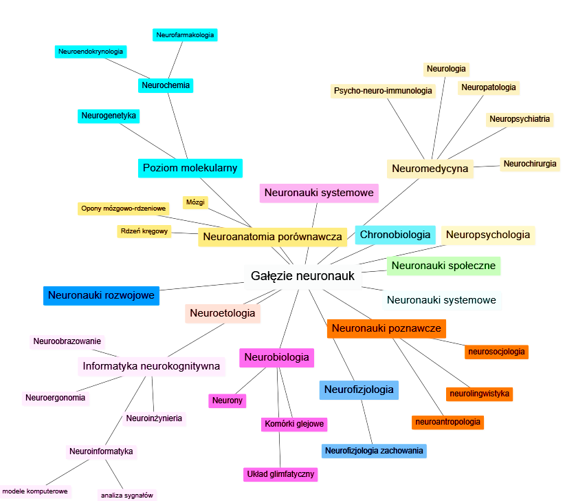 Lista neuronauk