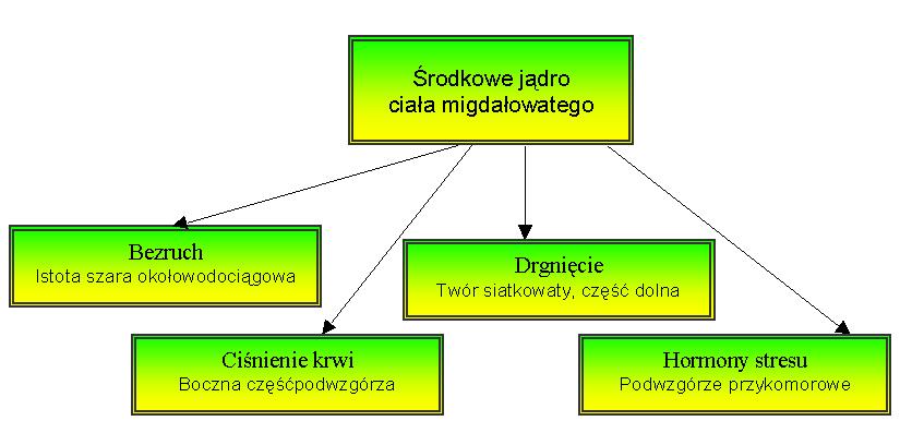 04-jmigd-e.jpg