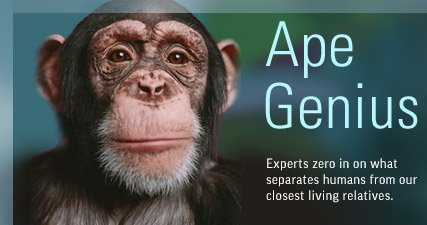 Apegenius