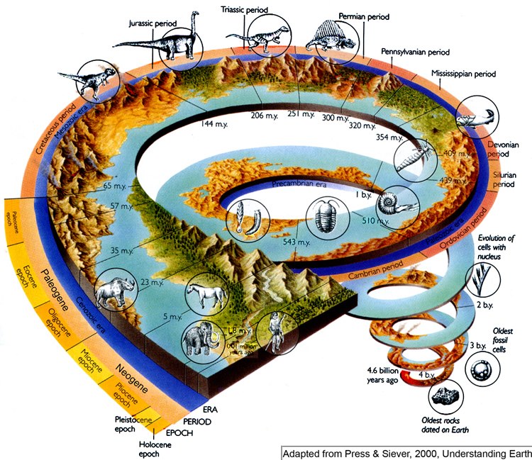 Evolution spiral