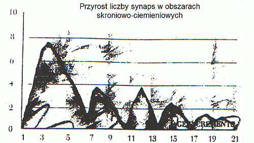 synapses-3