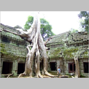 Cam-2D-217TaProhm.jpg