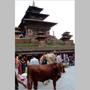 Katmandu-084.jpg