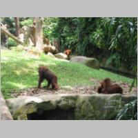 Sing-Zoo-020.html