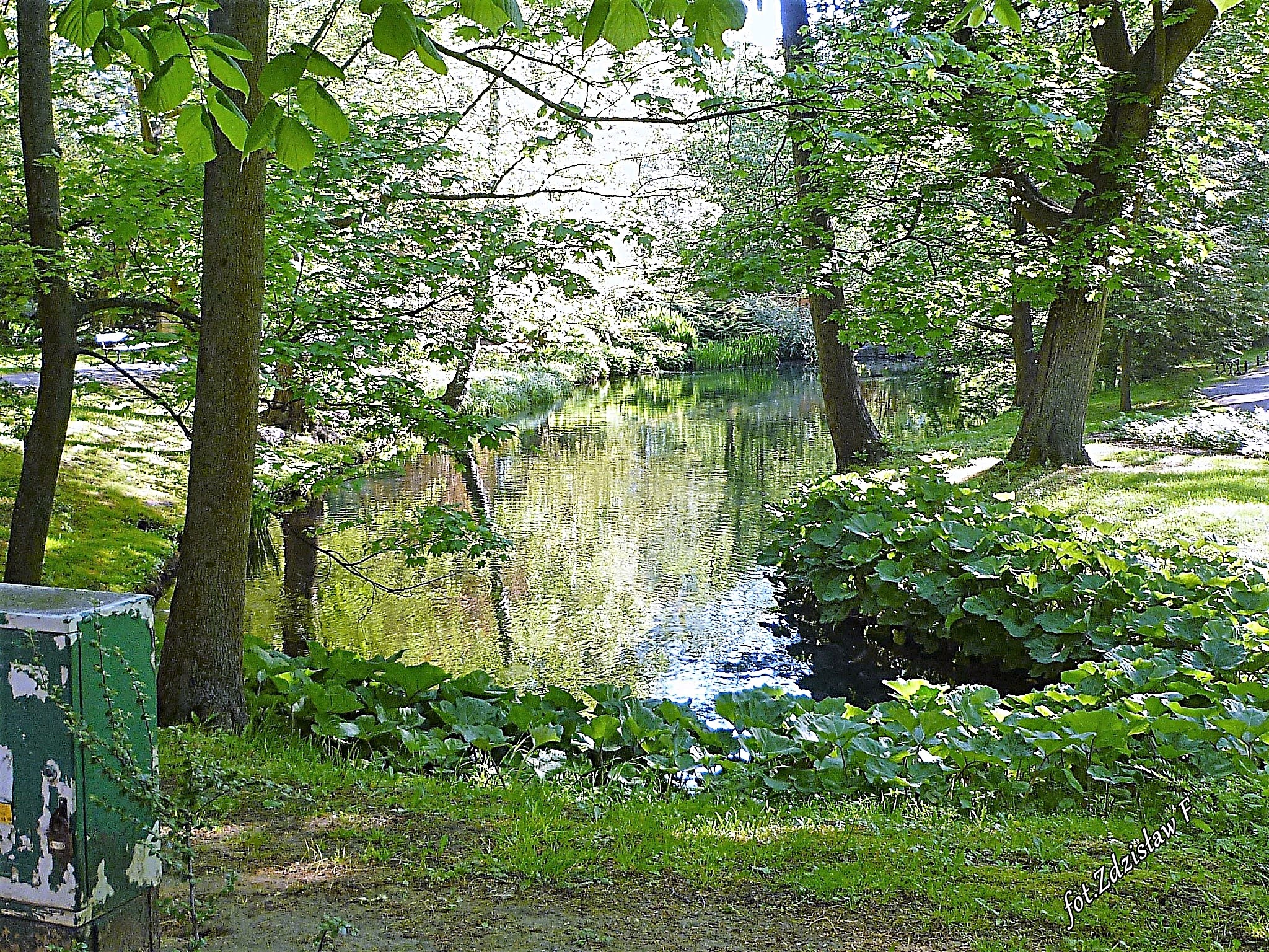 zdjęcie 26