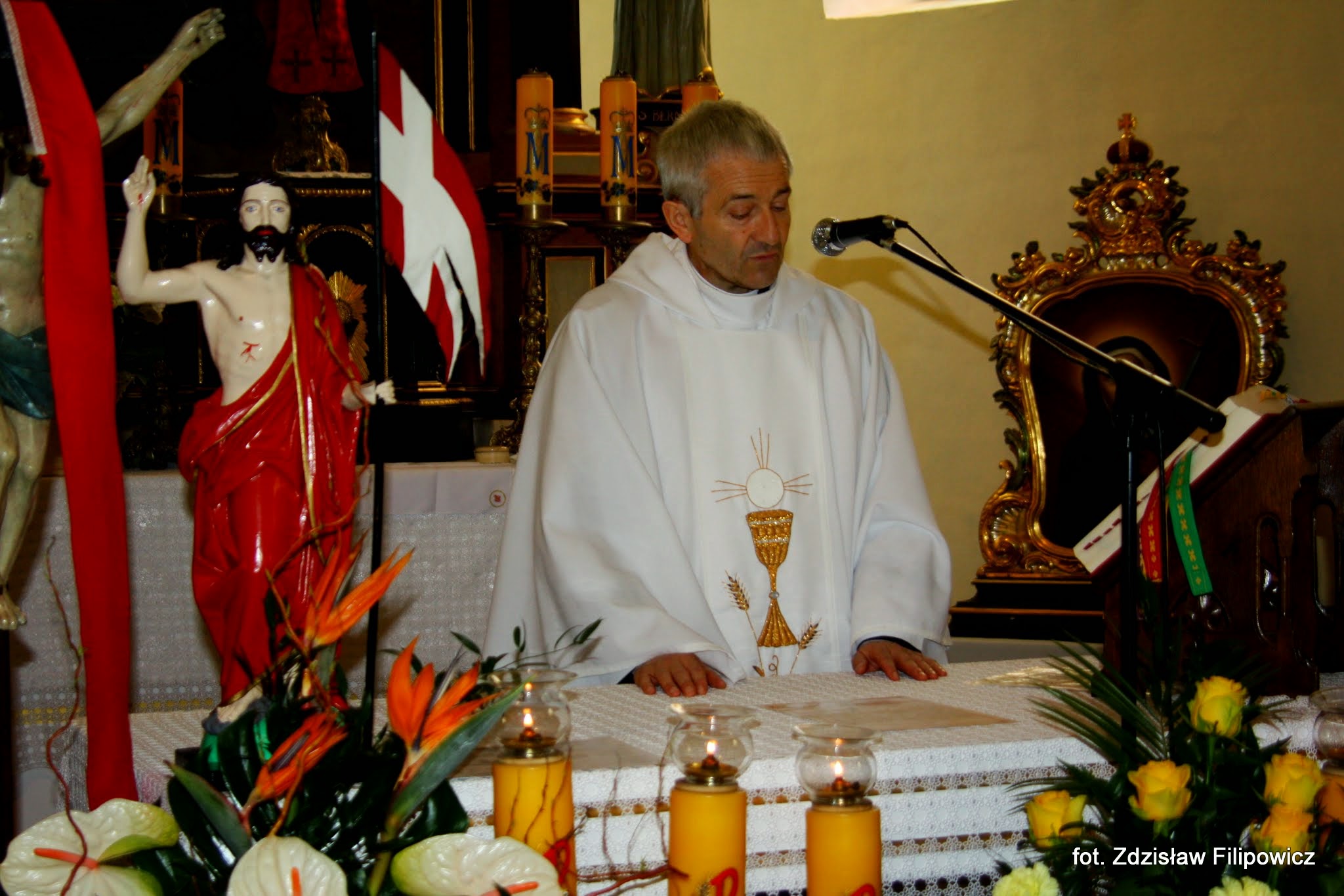 zdjęcie 84