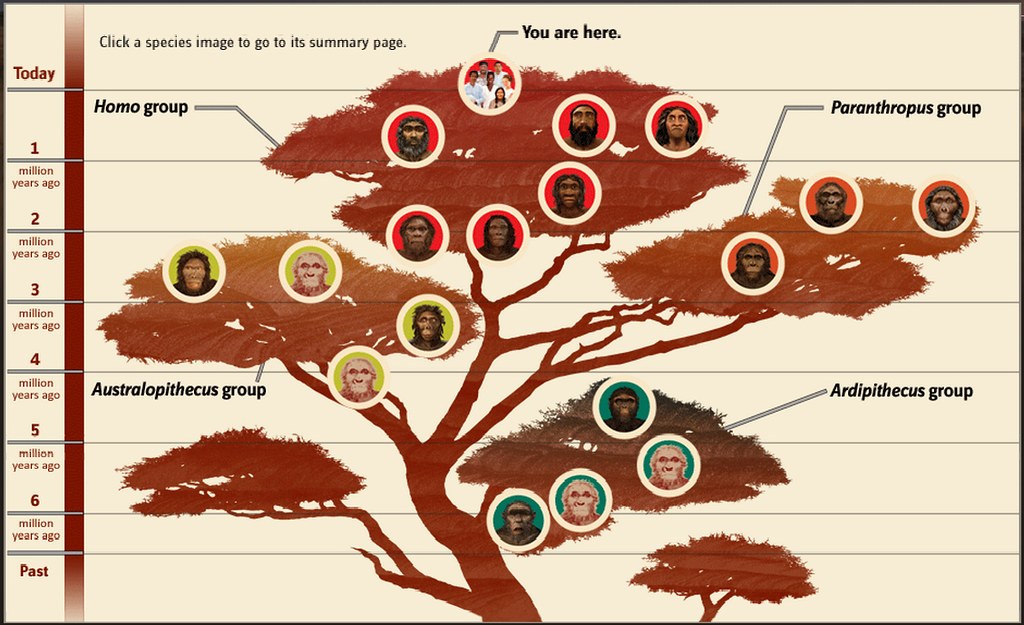 Drzewo rodziny ludzkiej