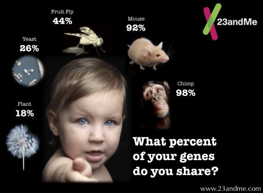 Shared gene fraction