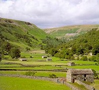 Yorkshire Dales View