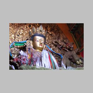 Drepung-175.jpg