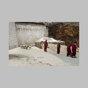 Drepung-211.jpg