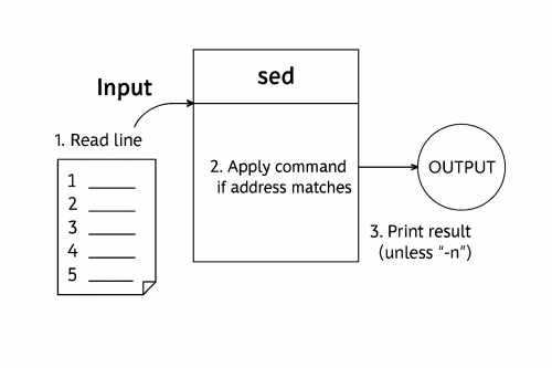 Procedura działania sed Procedura działania sed