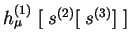 $ h_{\mu}^{(1)} \;[\; s^{(2)}[\; s^{(3)} ]\;]$